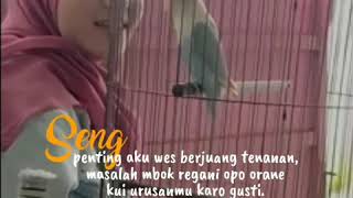 Download lagu story wa ku puja puja mp3 Download lagu story wa ku puja puja mp3