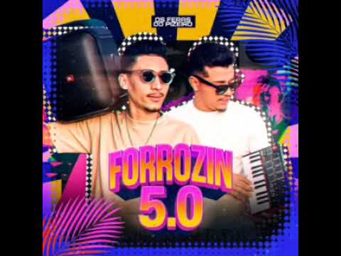 Carro de malandro os feras do piseiro 🌏🎵🎶💥