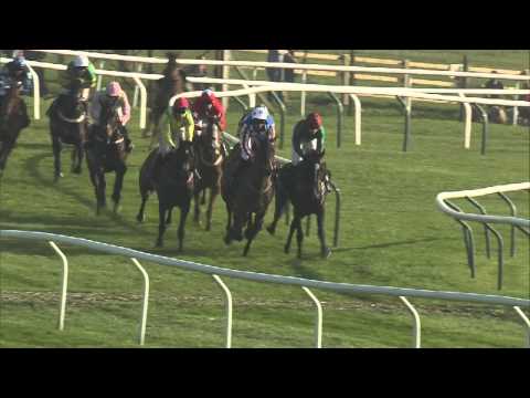 2014 BetVictor Queen Mother Champion Chase - Sire De Grugy - Racing UK
