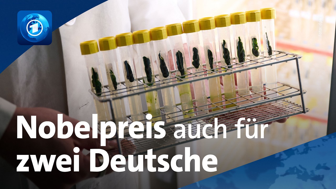 Durchbruch für die Erforschung des Gehirns: Forscher-Trio erhält Medizin-Nobelpreis