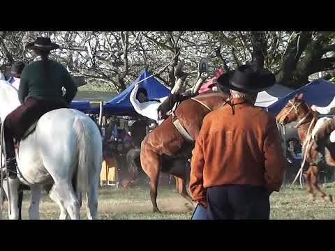 Montas en Basto con encimera Muchacho Valiente en Cayastá Santa Fe Junio 2026