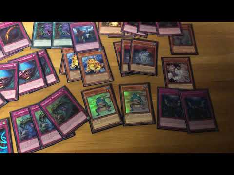 Yu-Gi-OH! YCS SYDNEY TOP 32 PALEOZIC DECK PROFILE Nick Macsery