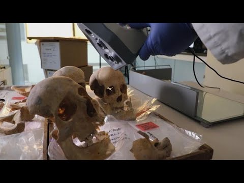 Knochen-Puzzle um Christoph Kolumbus: Woher stammt der Seefahrer?