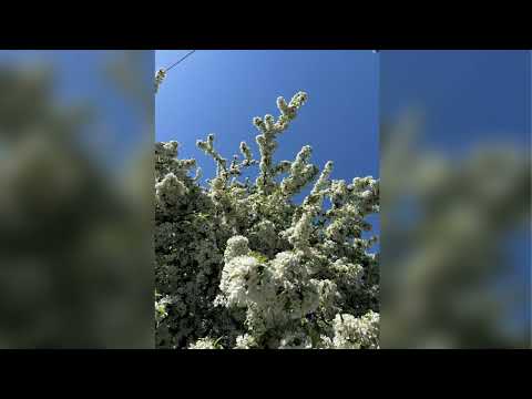 Finding the Right Counselling & Therapy in Kelowna, Vernon, Okanagan | Unyielding Health & Wellness