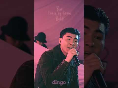 딩고 뮤직 dingo music! 카더가든X새소년   Little By Little 세로라이브 Car, the Garden X SE SO NEON Live