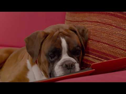 KLEBER - A szükséges abroncsot megtalálja a kleber.hu oldalon