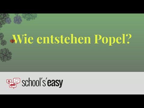 Wie entstehen Popel?
