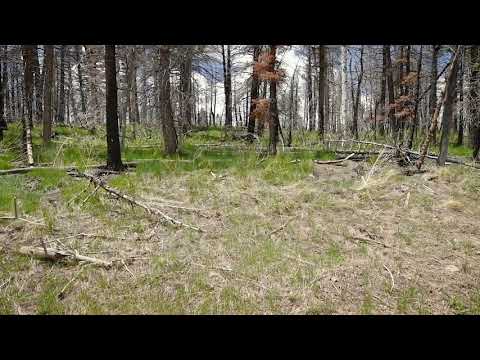 SOLD By Compass Land USA - 1.66 Acres - With Mountain Views! In Forbes Park, Costilla County CO