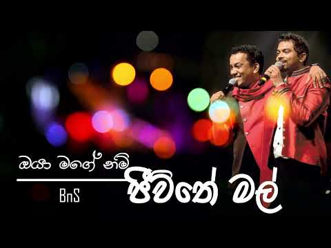 Oya Mage Nam Jeewithe Mal  | ජීවිතේ මල් | Original Song | BnS |