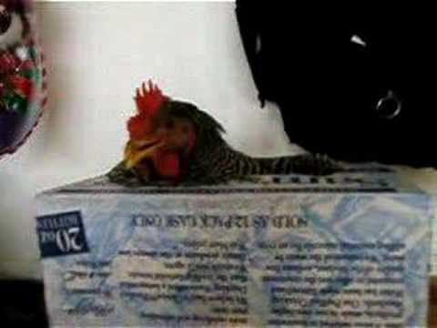 2002-08-22-to-08-23-ft-worth-and-dallas.avi