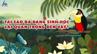 Đa Dạng Sinh Học Là Gì?Tại Sao Đa Dạng Sinh Học Lại Quan Trọng?