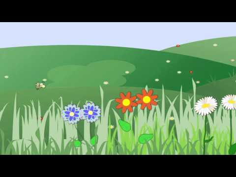 Sylvia Pizzicato - Percussion Playalong