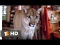 Continental Divide (7/9) Movie CLIP - A Cougar Problem (1981) HD