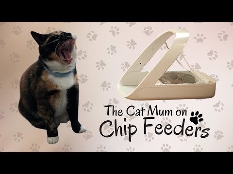 How I Feed Multiple Cats Different Diets (SureFeed Pet Feeder Review)