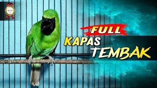 Download lagu ✅ FULL KAPAS TEMBAK || MASTERAN CUCAK IJO GACOR ISIAN KAPAS TEMBAK mp3