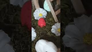 Download lagu ornamente lucrate manual tematica sfintelor sărbători pascale mp3