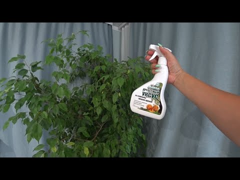 Древесный уксус Shahcoal 500мл купить по недорогим ценам в Москве с ...