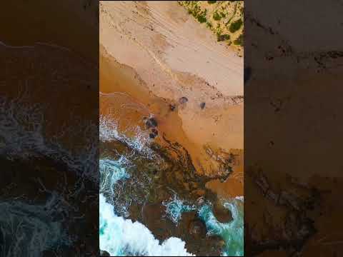 Crystal Cove Beach California