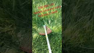 Sekáni a kosení trávy 1 m2