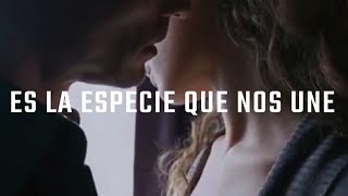 Especie - Gustavo Cerati