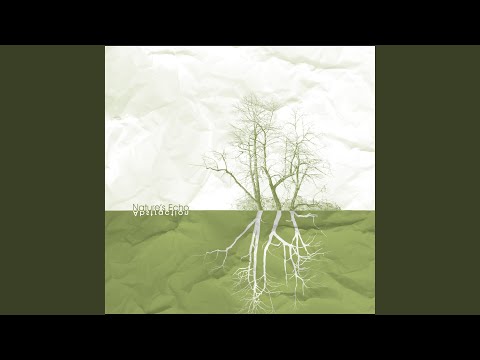 Download Abstraction Still Awake Mp3 dan Mp4 2018
