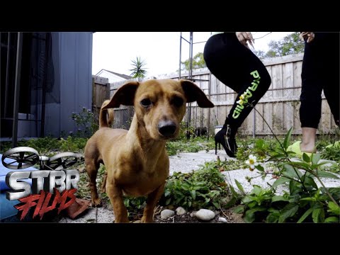 BIGGA BOY - DOLO (4K MUSIC VIDEO) | Shot by: Stbr Films