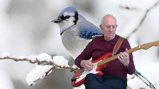 Snowbird - Anne Murray - instrumental cover by Dave Monk