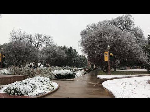 Snow falls at Baylor University in Waco, Texas