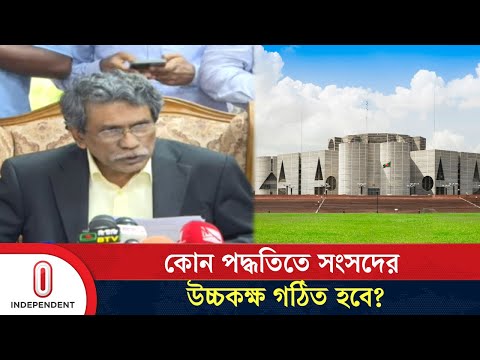 কোন পদ্ধতিতে সংসদের উচ্চকক্ষ গঠিত হবে? | Ali Riaz | Parliament | Independent TV