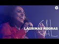 Gal Costa | Lágrimas Negras (Vídeo Oficial)