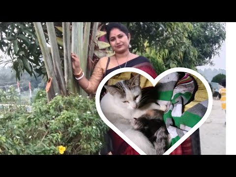 বাড়িতে নতুন সদস্যের আগমন হল।।❤️❤️😍😍😍