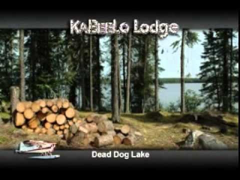 Dead Dog Lake - YouTube