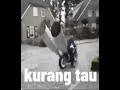 Ngapain Bang?