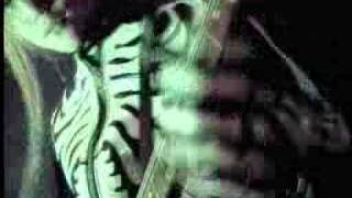 Balzac - Unvarnished Facts