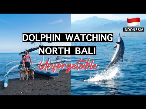 Lovina Beach NORTH BALI Dolphin Watching & Snorkeling: Unforgettable Experience