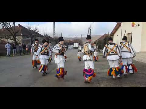 Calusari Ocolisu Mic, 2022 !