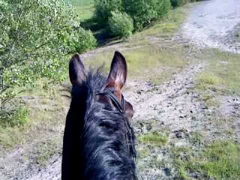 Jossan & High spirit på äventyr