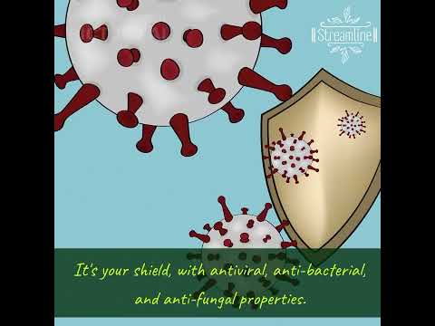 Ayurvedic neem capsules, packaging size: 30 capsule