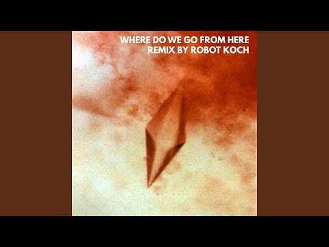 Where Do We Go from Here (Robot Koch Remix)
