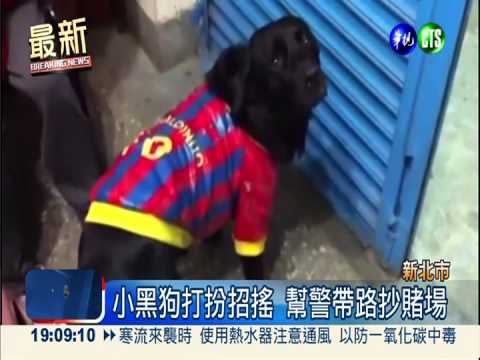 "地下台彩"隱身民宅 看門狗露餡