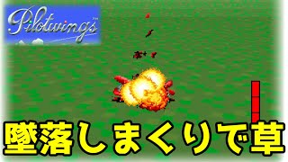 【パイロットウイングス】墜落は免れない飛行機シミュレーション
