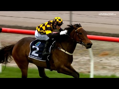 Luberon and Warren Kennedy take out the Matamata Veterinary Services Equine