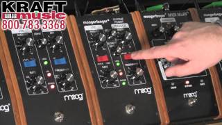 Video thumbnail for Kraft Music - Moog Moogerfooger MF-103 12-Stage Phaser Demo with Jake Widgeon by Kraft Music