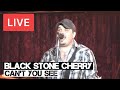 Black Stone Cherry | Cant You See | LIVE at The ...