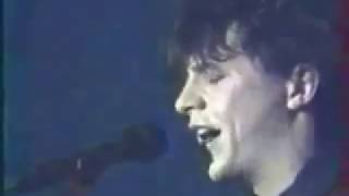 indochine -  un grand carnaval (live)