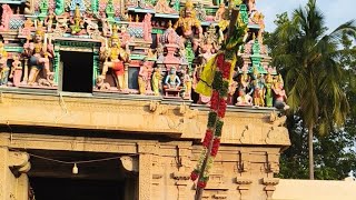 அரியக்குடி திருவேங்கடமுடையான்திருக்கோயில் முகூர்த்தக்கால் நடுதல் வைகாசிப் பெருந்திருவிழா #அரியக்குடி