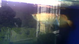 IMG 3366