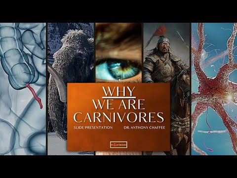 🔴Why We Are Carnivores Slide Presentation, with Dr Anthony Chaffee