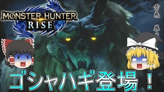 【MHR】ぼっちハンターがいくモンハンライズ！【ゆっくり実況】part29