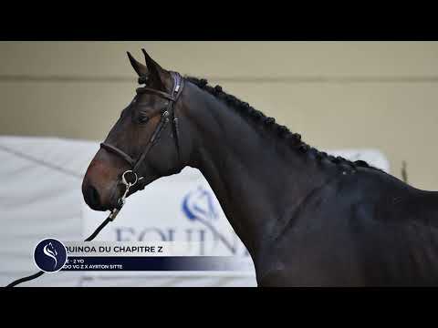 QUINOA DU CHAPITRE Z